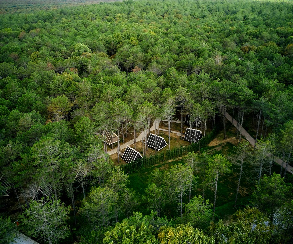 Longosphere Glamping