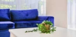 Deluxe Bahçe Manzaralı Oda Görseli