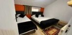Alartı Bungolav 2 Görseli