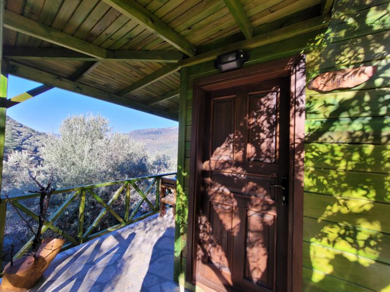 Bungalov Superior Oda