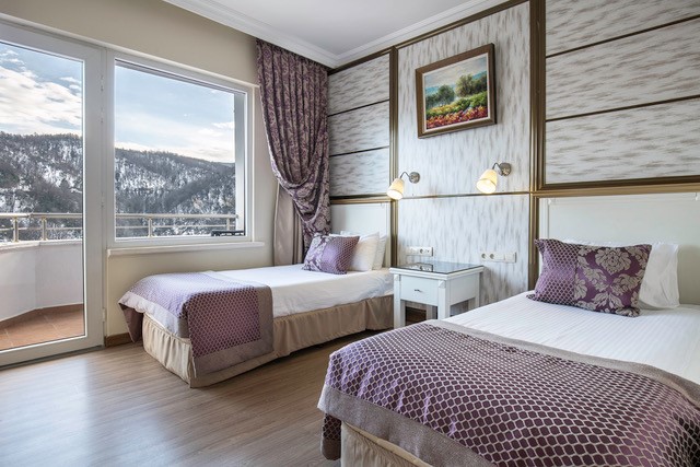 Thermalium Wellness & Spa Hotel By Vima Orman ve Göl Manzaralı Oda