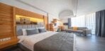 Deluxe Suite Görseli