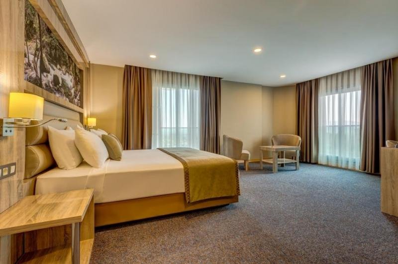 Deluxe Junior Suite Room