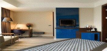 Wyndham Grand İstanbul Europe · 71