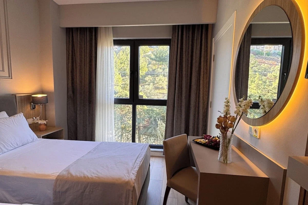 Superior Twin Room Mountain View