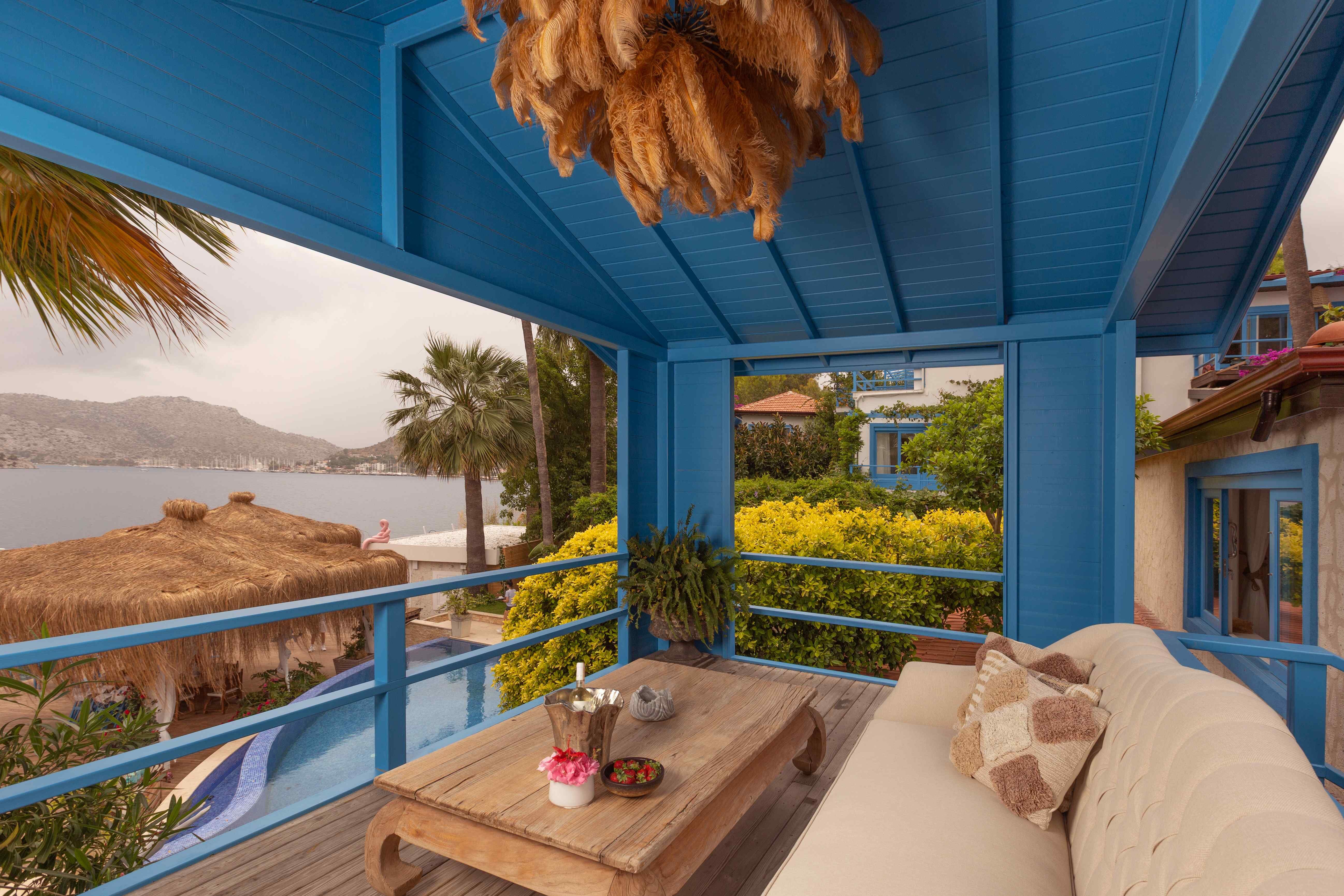Splendid Suite (Orkide)