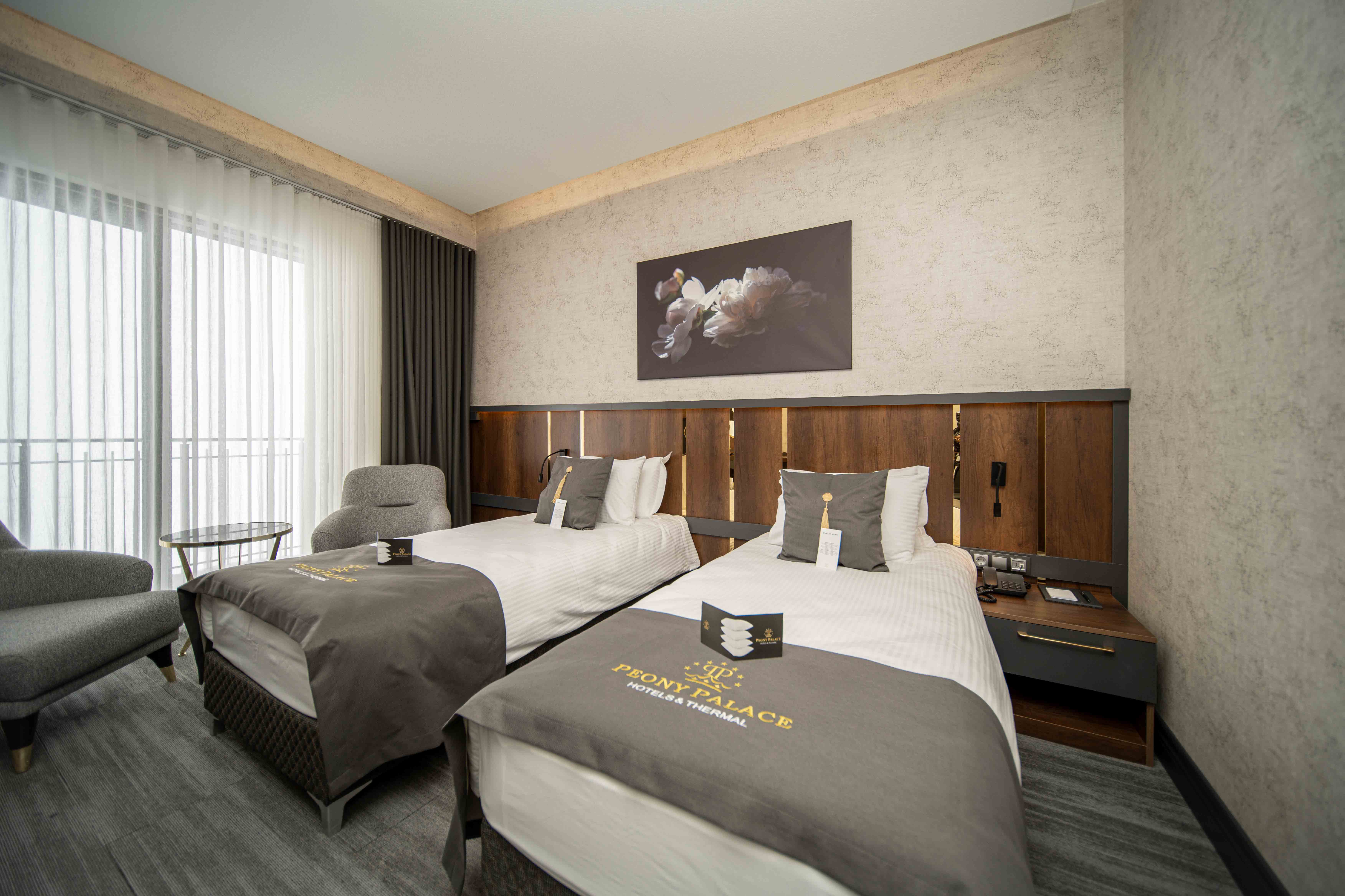 Deluxe Iki Ayrı Yataklı Oda