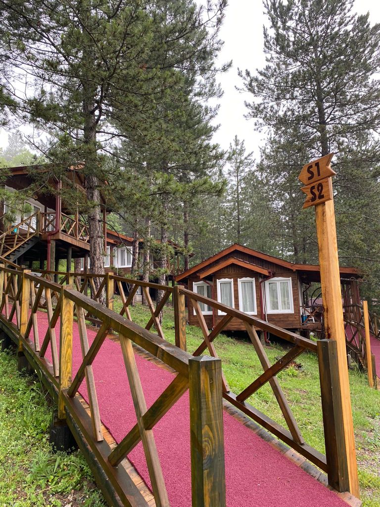 Mengen Rüya Çiftliği