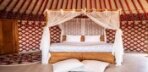 Honeymoon Suite Görseli