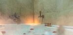 Premium Suite Görseli