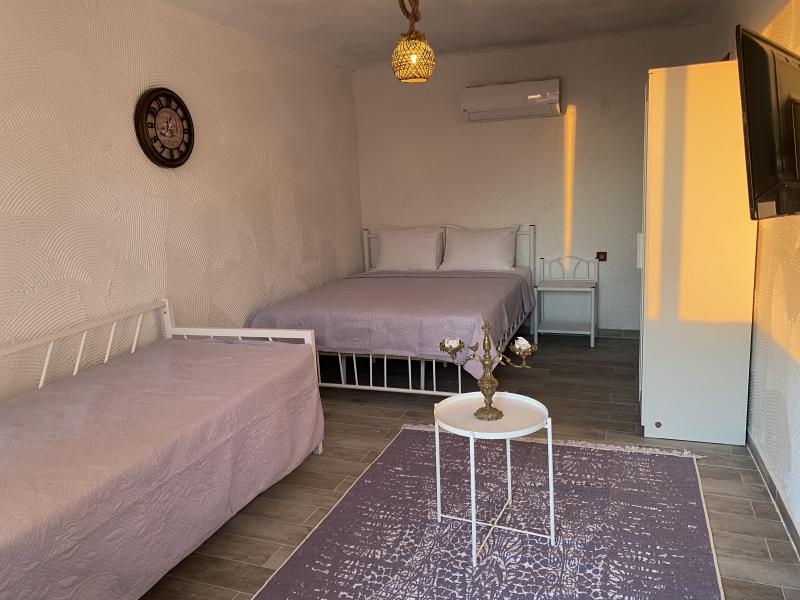 Teras Oda, Orman Manzaralı (Teraslı)