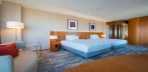 Premium Double French Bed Room Görseli