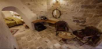 Senior Suite Görseli