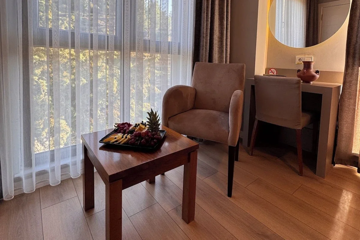 Superior Twin Room Mountain View