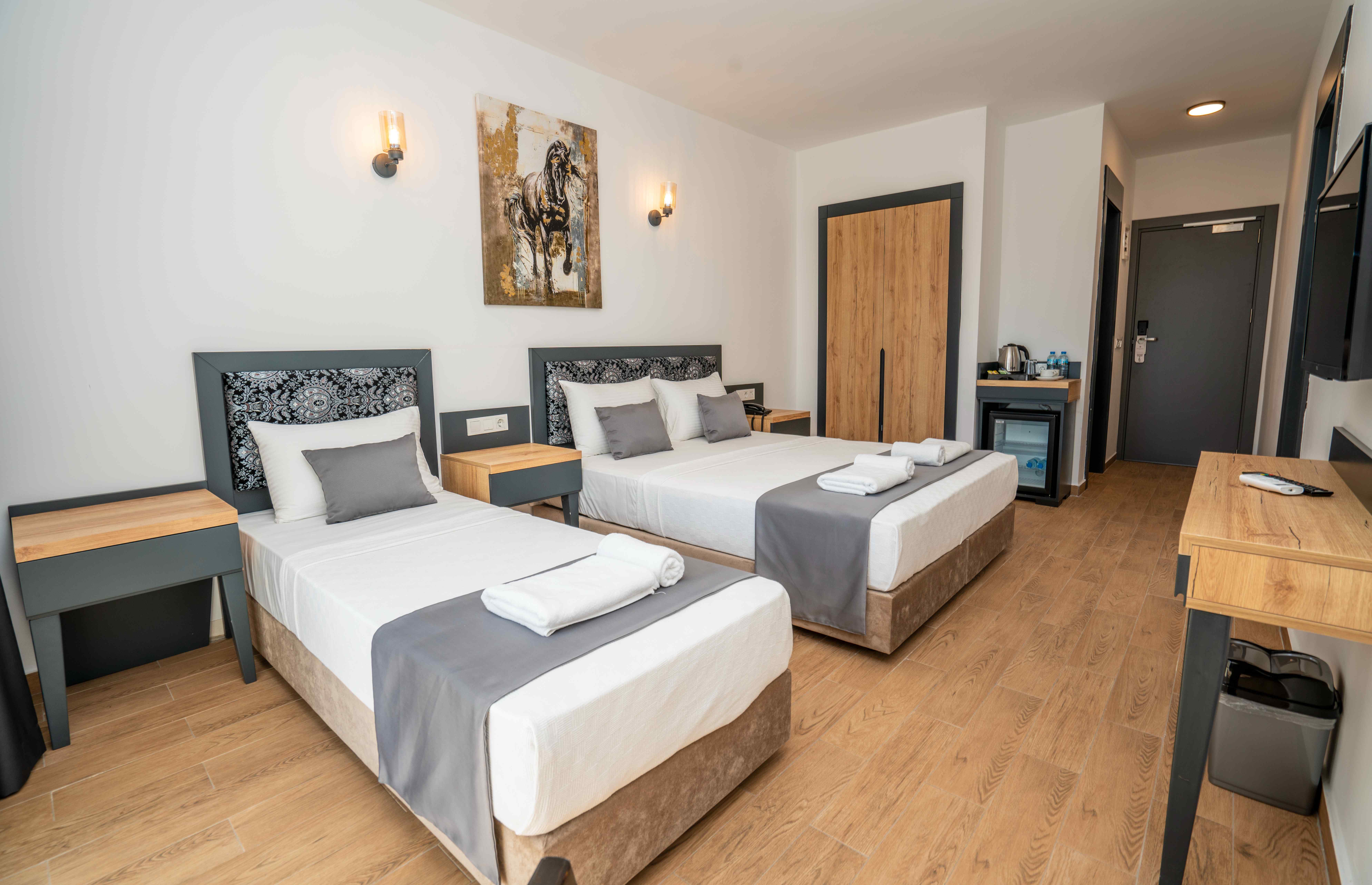 Standart Oda (3 Kişilik, Balkonsuz)