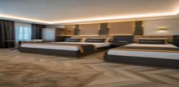Dorel The Hotel