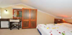 Standart Çatı Double veya Twin Oda Görseli