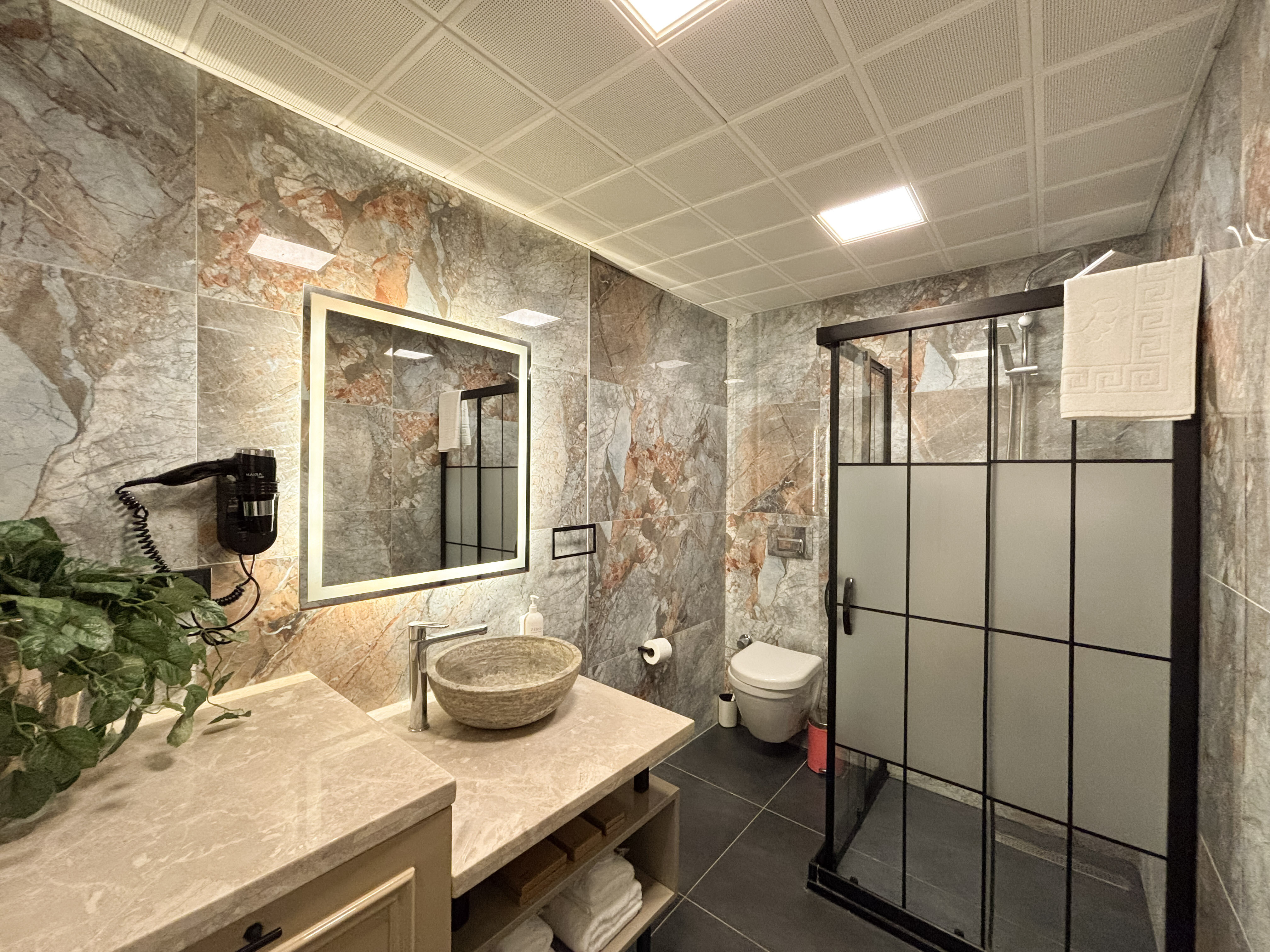 Standard Suite