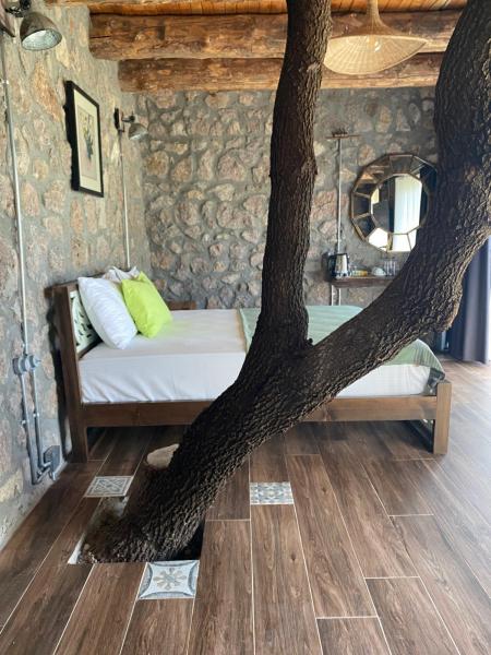 Doğa Bahçe Ve Deniz Manzaralı Oda
