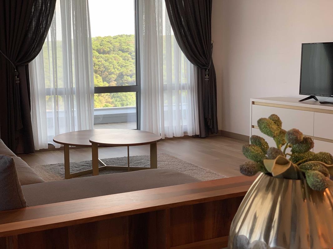 Suite Room