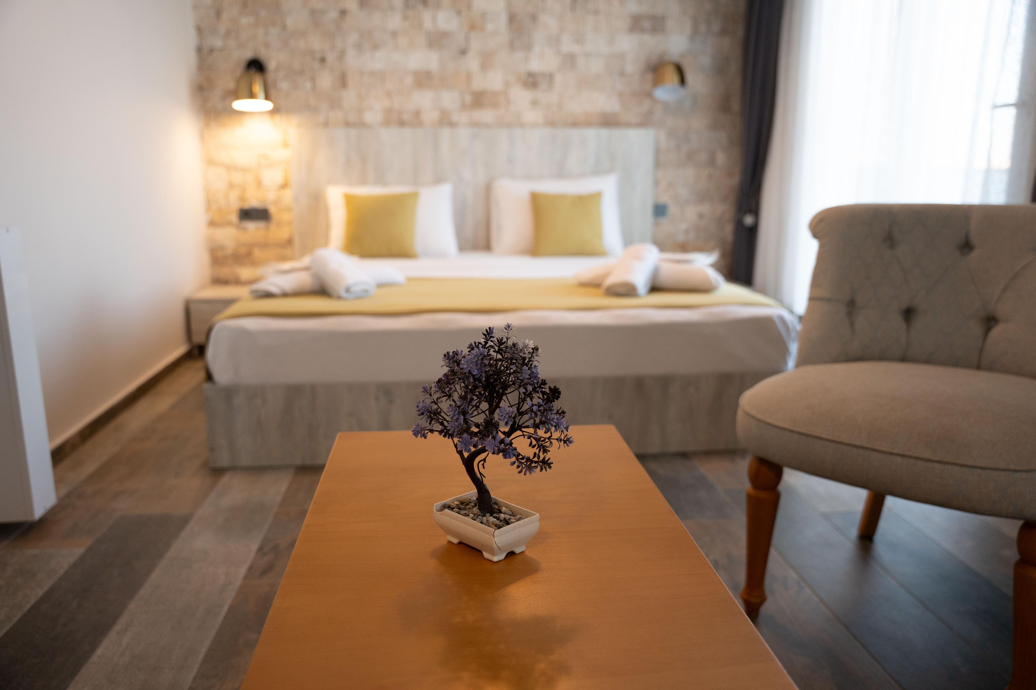Terrace Suite