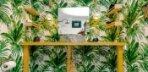 Tropical Tiny House Görseli