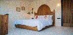 Deluxe Room with Botanical Terrace Görseli