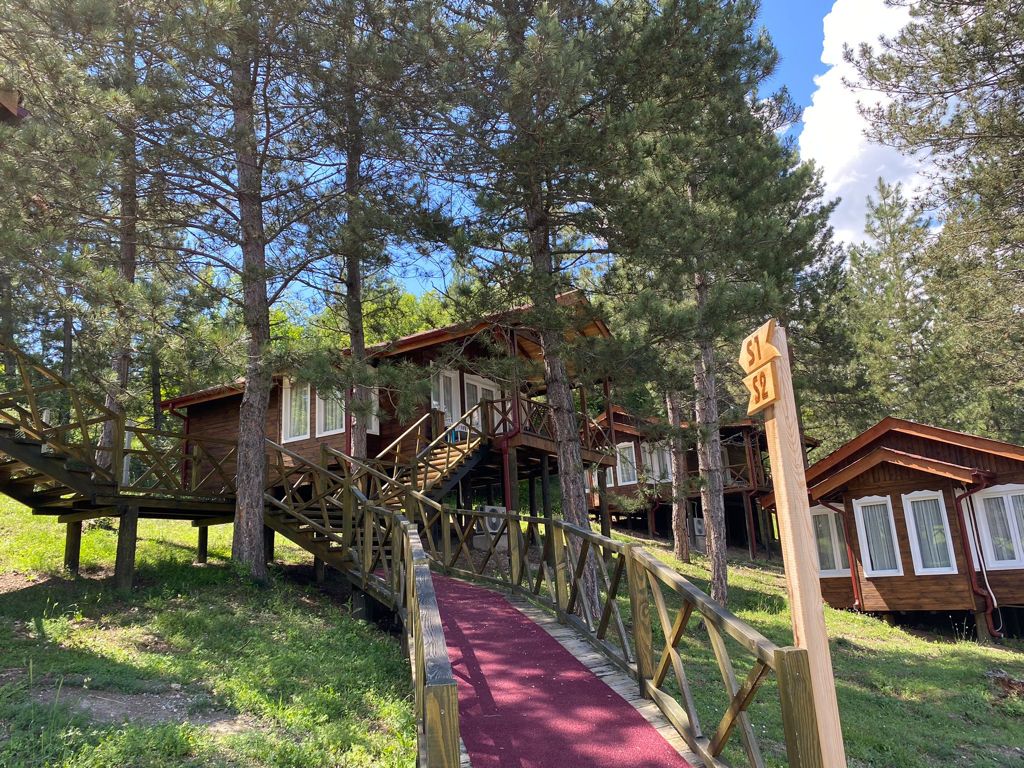 Mengen Rüya Çiftliği