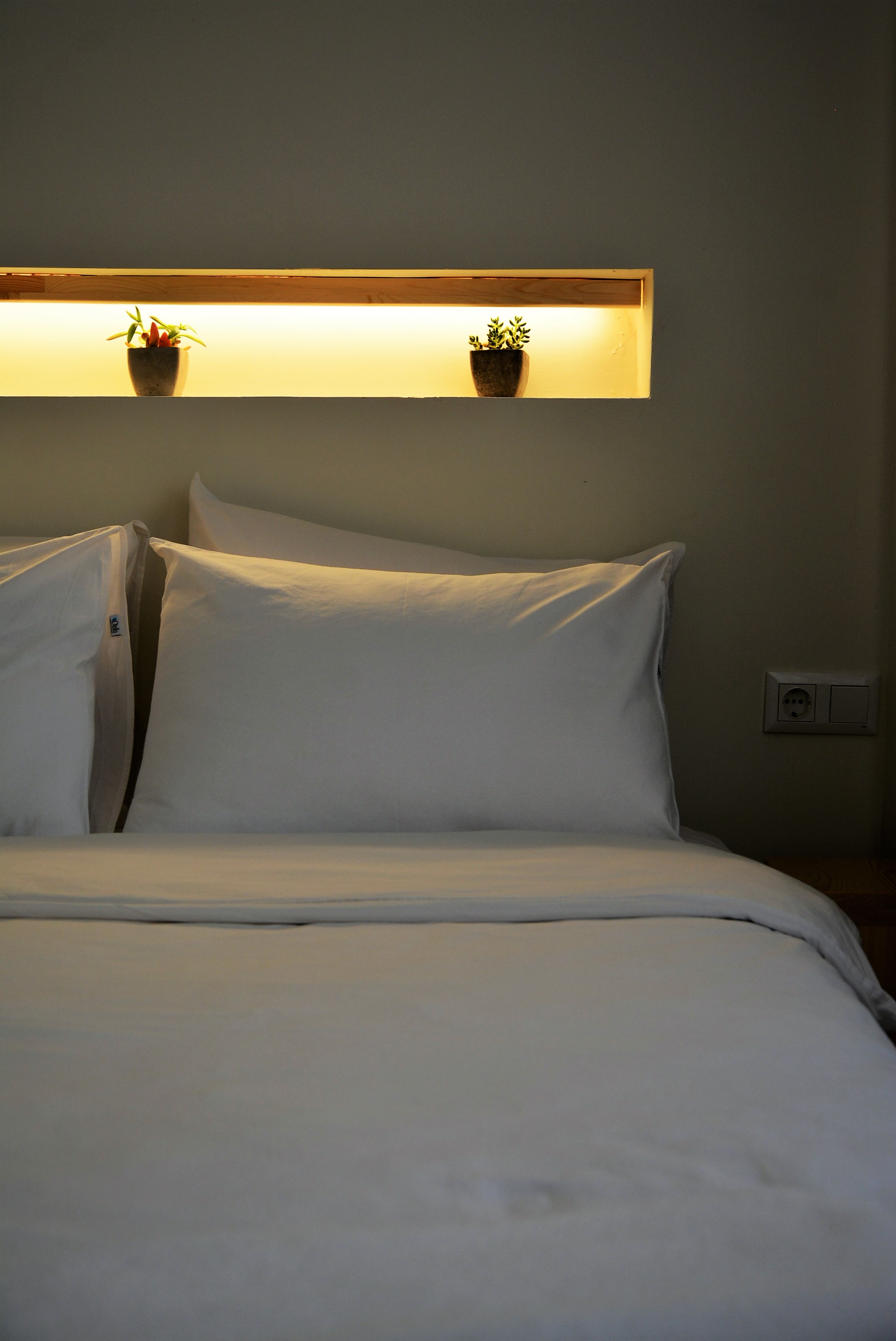 Garden Room, Garden View