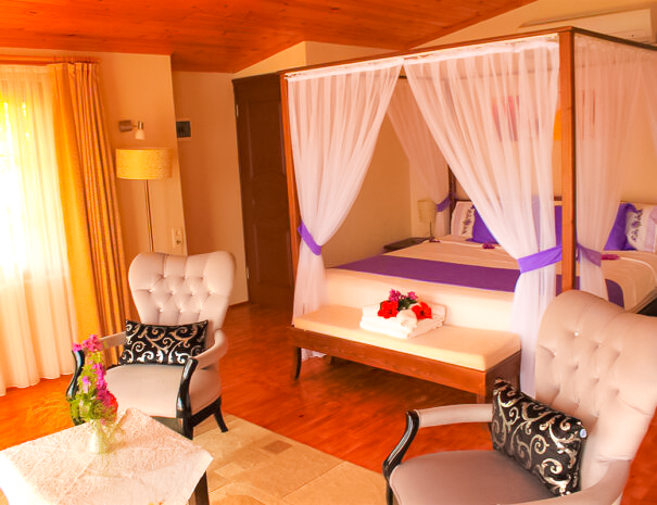 Deluxe Room, Sea View