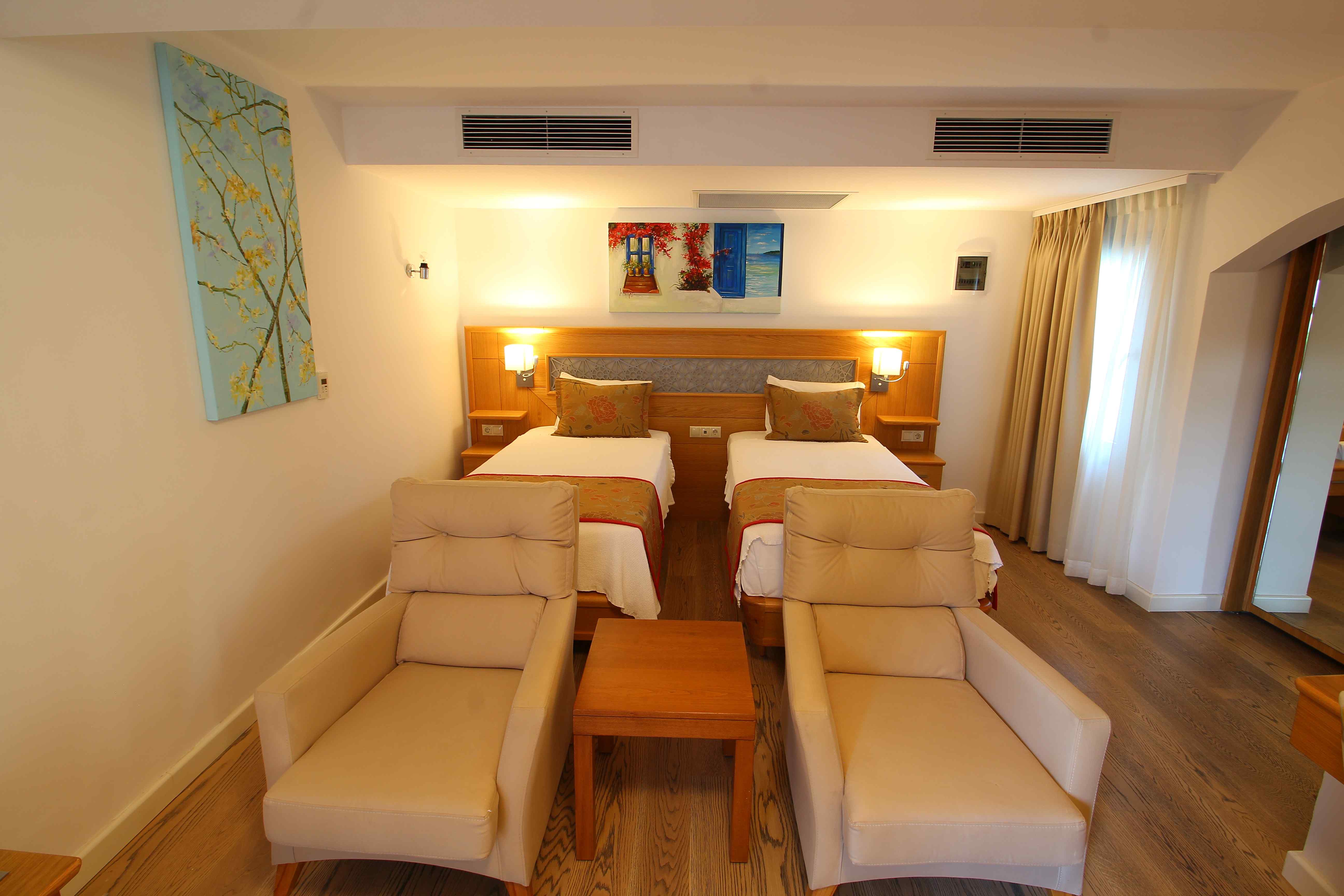 Suite 1+1 Apartment Room