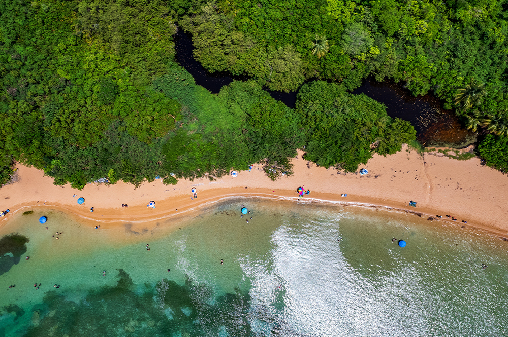 Kolombiya & Panama Turu - Latin Rüyası - Tüm Turlar Dahil - Türk Hava Yolları ile 8 Gece