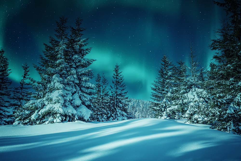 İzmir Çıkışlı Sunexpress Havayolları İle Lapland Turu Kuzey Işıkları Rotası (3 Gece) - 11 Şubat 2026 - 4* Mustaparta Boutique Hotel Tornio 