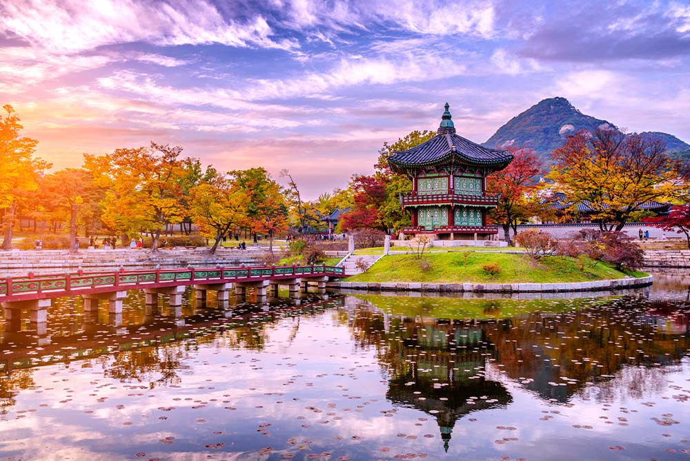 Dolu Dolu Güney Kore Turu Seul Güzellik Rotası Türk Hava Yolları ile 5 Gece