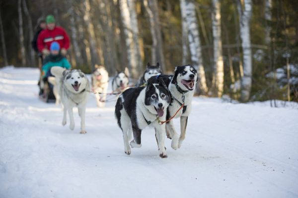 Lapland Turu Beyaz Rotalar - Promosyonlu - Thy ile 3 Gece