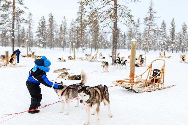 Lapland Turu Beyaz Rotalar - Süper Promo - (Tornio Konaklama) Türk Hava Yolları ile 3 Gece