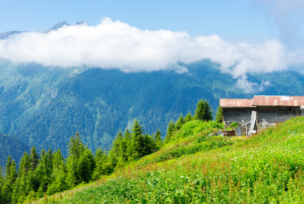 Karadeniz Yaylalar ve Batum Turu 5 Gece Otel ( 1 Gece  Batum 2 Gece Yayla ) Konaklamalı Ankara Çıkışlı