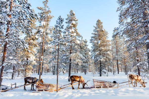 Lapland Turu Beyaz Rotalar Freebird HY Özel Sefer ile - Çifte Yılbaşı - 3 Gece