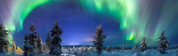 Lapland Beyaz Rotalar Turu , Freebird HY ile (Sömestir- Tornio Konaklama) 3 Gece 1 Şubat Gidiş