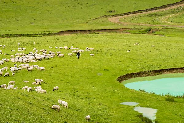 Karadeniz Yaylalar ve Batum Turu 5 Gece Ankara Çıkışlı