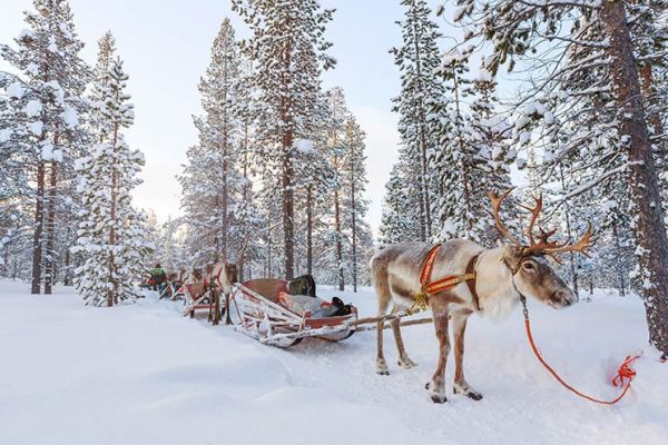 Lapland Turu Beyaz Rotalar (Tornio Konaklamalı) - Promosyon - Türk Havayolları ile 4 Gece