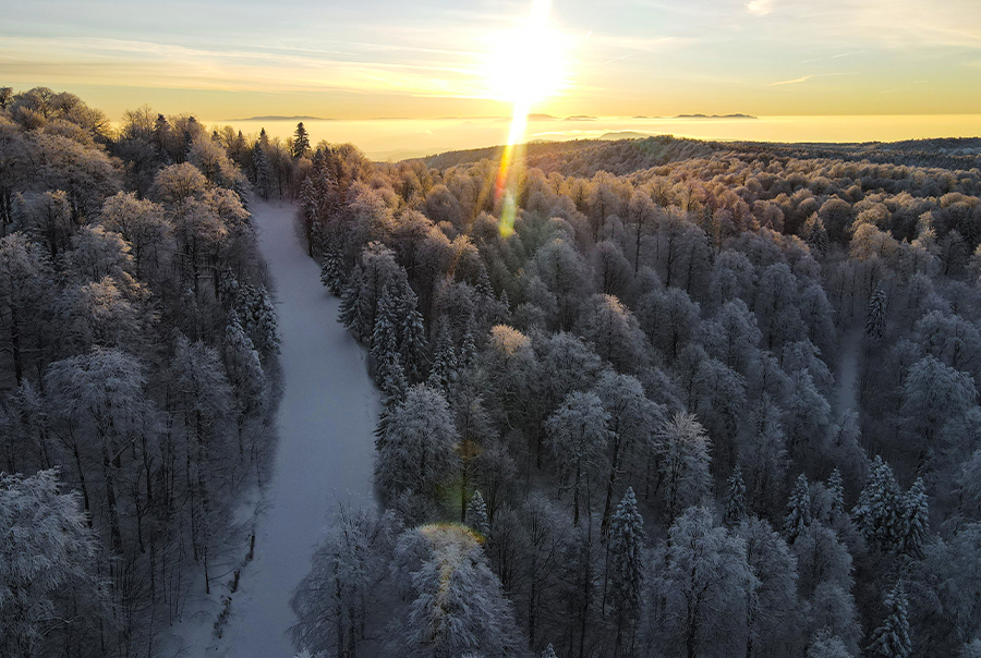 Günübirlik Kartepe Kayak Turu İstanbul Çıkışlı Sevgililer Günü Özel 