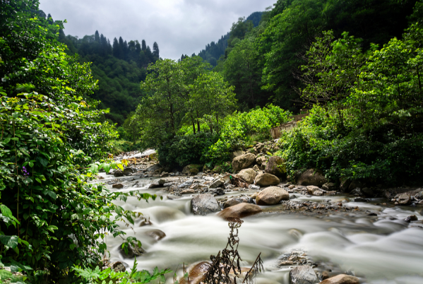 Karadeniz Yaylalar ve Batum Turu 5 Gece Otel ( 1 Gece  Batum 2 Gece Yayla ) Konaklamalı Bursa Eskişehir Çıkışlı