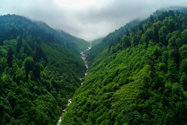 Karadeniz Yaylalar ve Batum Turu 5 Gece Otel ( 1 Gece  Batum 2 Gece Yayla ) Konaklamalı Tekirdağ Çorlu Beylikdüzü Çıkışlı