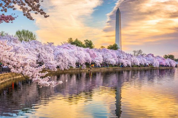 Kuzey Amerika Kıyıları Turu - (JFK-IAD) THY ile 7 Gece - 2024 Yılbaşı