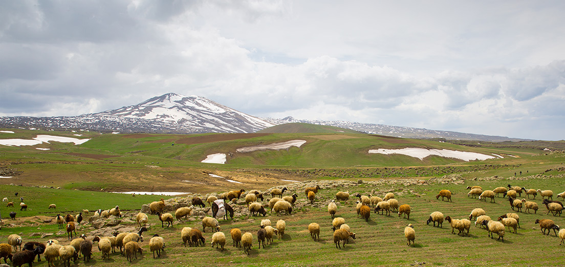Turistik Doğu Ekspresi Ajet ile Kars Turu 2 Gece Otel 1 Gece Tren Konaklamalı Ankara Çıkışlı (Ankara-Kars yönü)