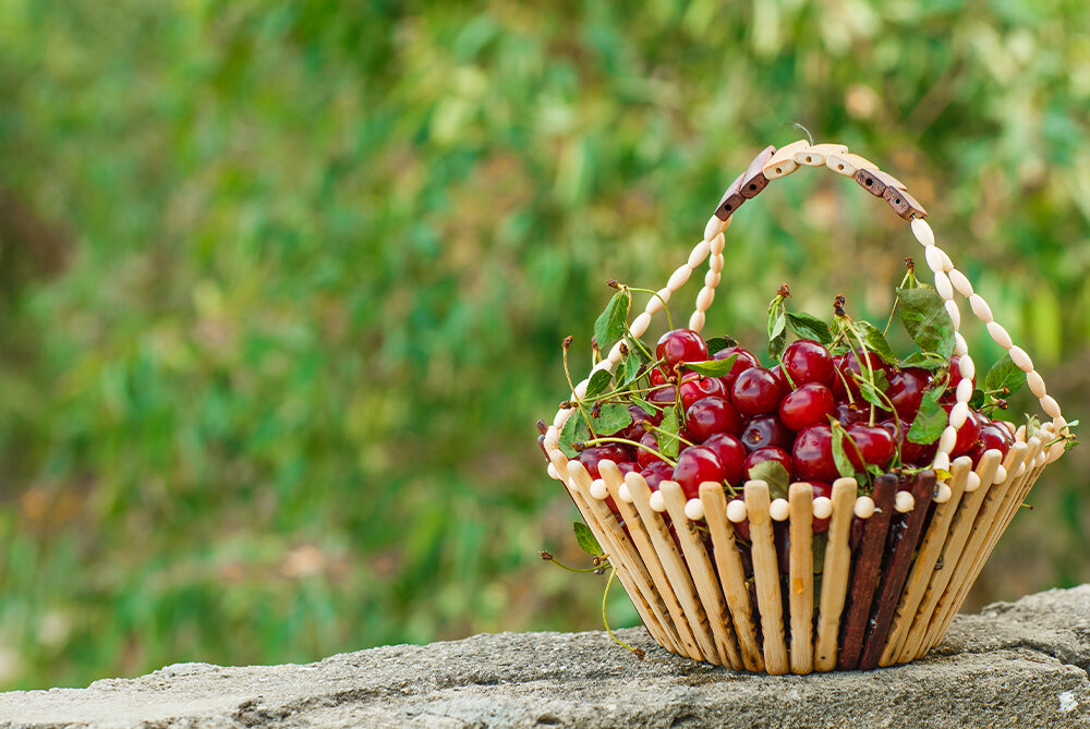 Tekirdağ Kiraz Festivali Turu Bursa Çıkışlı Günübirlik