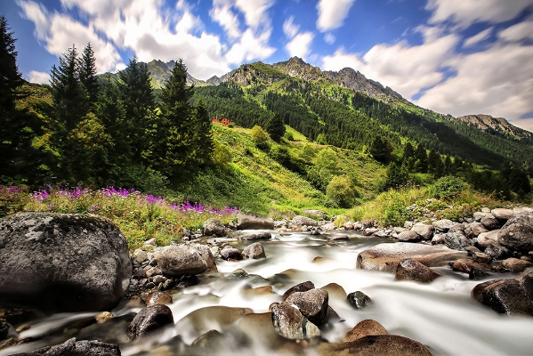 Baştan Sona Karadeniz Yaylalar Turu 7 Gece Otel Konaklamalı ( 1 Gece Batum  Konaklama ) Ankara Çıkışlı