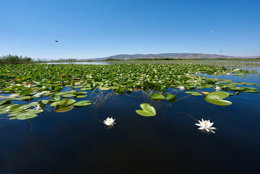 Işıklı Göl Clandras Köprüsü Kuladokya Foça Bergama Turu 1 Gece Otel Konaklamalı İstanbul Bursa Çıkışlı