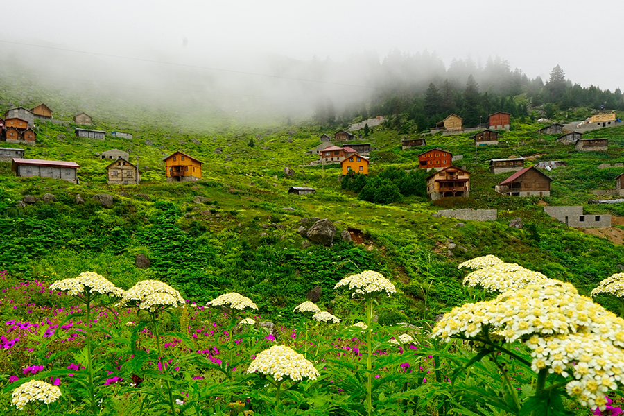 Uçaklı Karadeniz Yaylalar ve Batum Turu Türk Havayolları ile 4 Gece Otel (1 Gece Batum ) Konaklamalı İstanbul Çıkışlı Trabzon Başlar